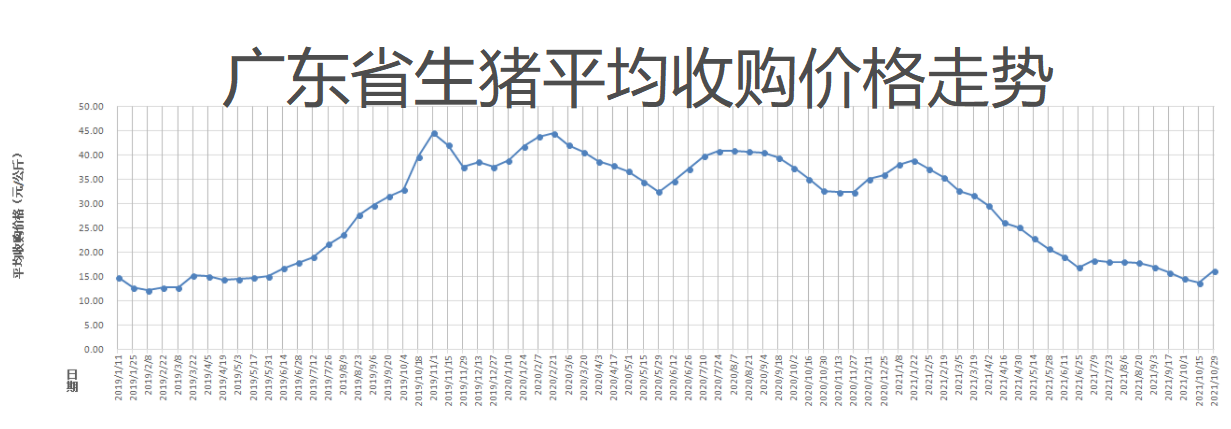 廣東今日生豬價(jià)格動(dòng)態(tài)，最新行情解析與行情解析????