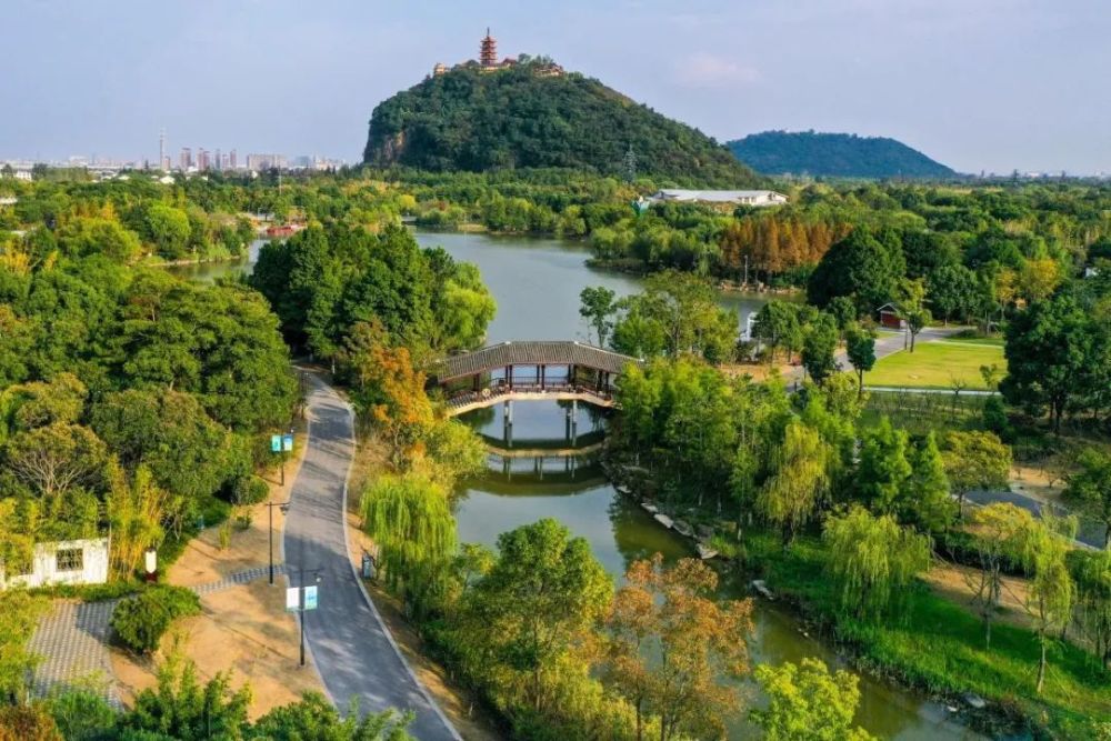 南通森林公園最新動(dòng)態(tài)，游玩指南與技能學(xué)習(xí)全攻略